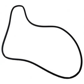 Front Right Door Seal Ford Mustang Mach-E 21-23