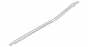 Molding door-glass central rear left Nissan Altima 19-