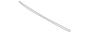 Hyundai Sonata 18-19 hood seal on bumper