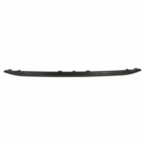 Element of radiator grill insert Ford Ecosport 18-22 top, black