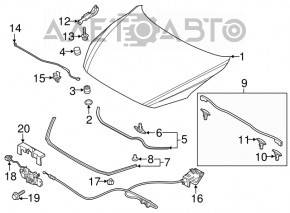 Right hood hinge Mazda 3 14-18 BM