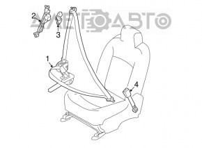Passenger seat belt Nissan Maxima A36 16-18 beige