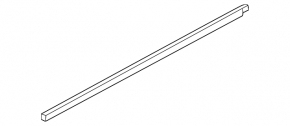 Molding door-glass central rear right VW Passat 20-22 chrome