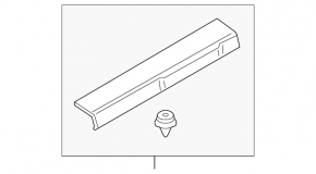 Door sill trim front left Ford Ecosport 18-22 black, scratch