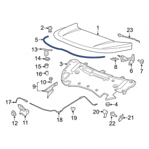 Ford Edge 15-18 Hood Seal