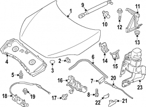 Hood seal left Infiniti QX50 19-20 corner