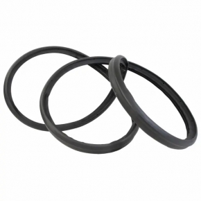 Door seal front left Ford Ecosport 18-22