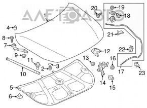 Subaru Outback 15-19 bare hood