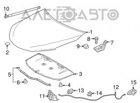 Hood bare Toyota Camry v55 15-17 usa, graphite 1H1, steel, dents