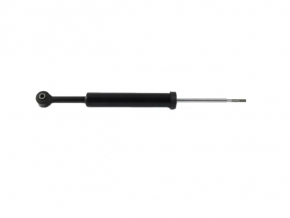 Shock absorber rear left Chrysler 300 11-22 with support