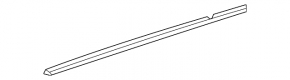 Molding door-glass center rear left VW Jetta 11-18 USA matte