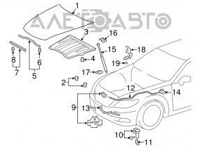 Lexus LS460 LS600h 07-12 Hood Insulation