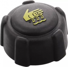 Nissan Sentra 20- Coolant Expansion Tank Cap