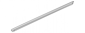 Molding door-glass central front left Ford Mustang Mach-E 21-23