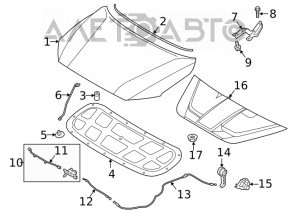 Bonnet bumper rear left Kia Forte 19-24