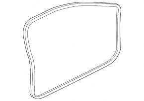 Door seal front left Audi A4 B9 17-