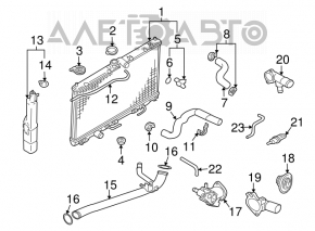 Lower cooling hose for Mitsubishi Galant 04-12
