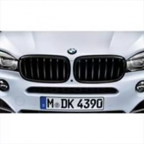 BMW X5 F15 2014-2018 right nostril grille, black
