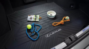 Trunk mat (rubber) Lexus ES 19-26 black