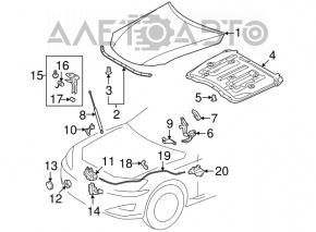 Hood hinge left Lexus IS250 IS300 IS350 06-13