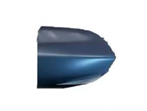 Outer handle plug front right Ford Mustang mk6 15-