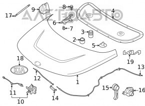 Front left hood bumper for Hyundai Santa Fe 24-26