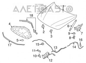 Hood shock absorber right BMW 3 F30 12-18