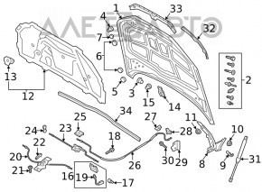 The right hood seal on an Audi A4 B9 17-25 is broken.