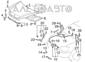 Hood Lock for Toyota Sequoia 08-16