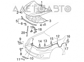 Hood shock absorber for Toyota Solara 2.4 04-08