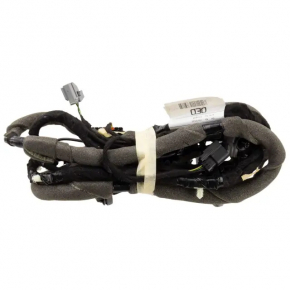 Trunk door wiring Ford Ecosport 18-22