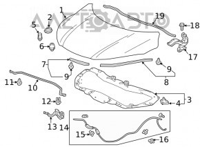 Hood Lock Honda HR-V 16-22