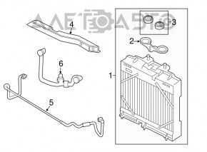 Radiator cooling pipe oil BMW 5 F10 11-16 to the main radiator