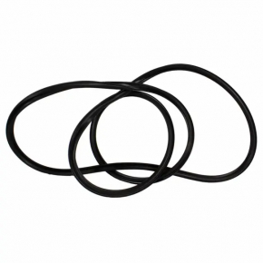 Ford Ecosport 18-22 hatch seal