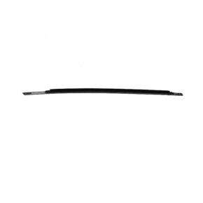 Molding door-glass central front left Dodge Charger 11-23