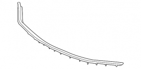 Hood seal on bumper Lexus CT200h 11-17