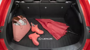 Trunk mat Lexus UX200 UX250h 19- black
