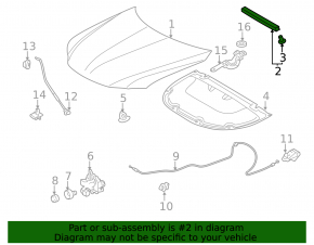 Seal on the hood of Lexus CT200h 11-17