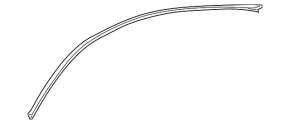 Roof molding trim right Lexus GS300 GS350 GS430 GS450h 06-11