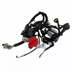 Ford Edge 16-18 Battery Wiring
