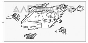 Lexus RX350 RX450h 13-15 right front headlight, bare, halogen