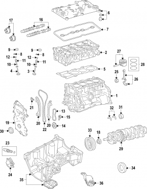 Nissan Sentra 20-24 Camshaft Gear Intake