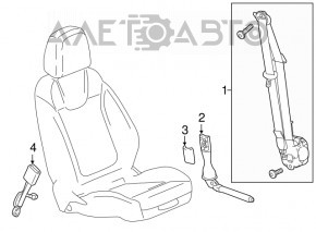 Driver's seat belt with tensioner Chevrolet Malibu 16-19 black, shot