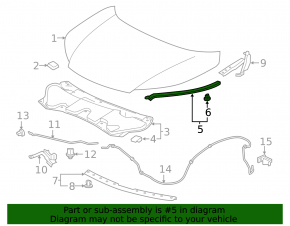 Hood seal right Honda CRV 12-16
