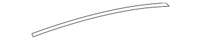 Upper rear left door molding Honda Accord 23- chrome