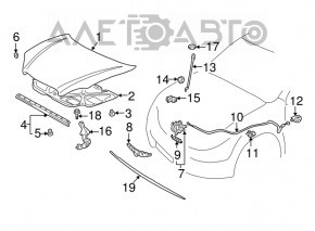 Support bonnet stop Toyota Corolla e12 02-06 5d 3d