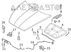 Hood hinge right Hyundai Sonata 20-23