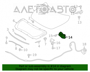 Nissan Altima 19- Hood Lock