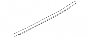 Molding door-glass central rear left Honda Insight 19-22 chrome