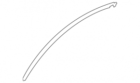 Upper door molding front left Toyota Rav4 19- chrome